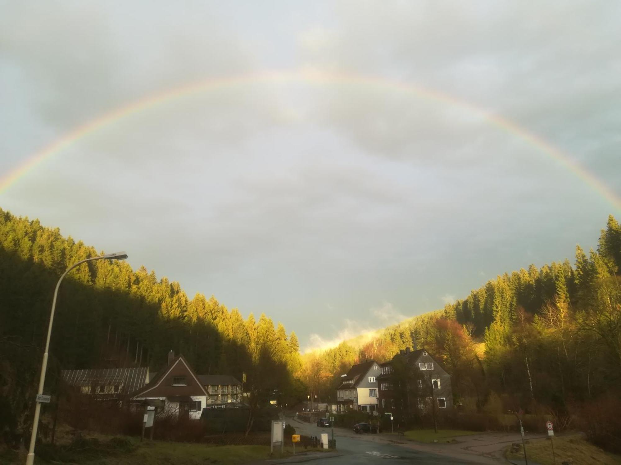 Ferienwohnung Sonnenhuegel Wildemann Exteriör bild