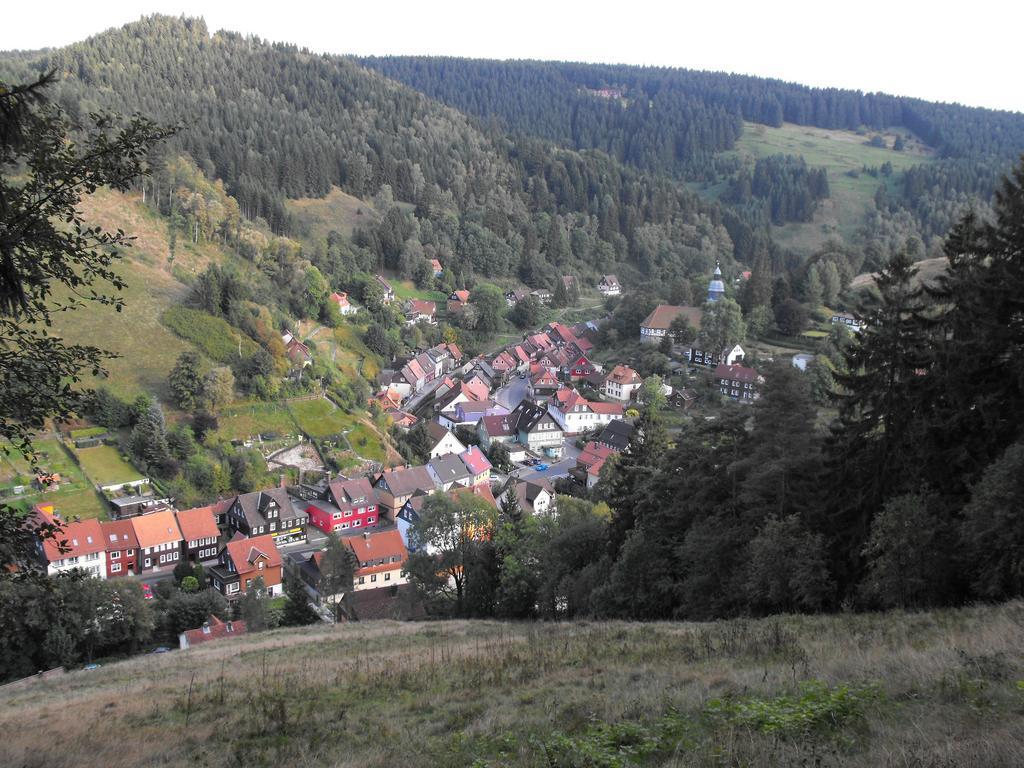 Ferienwohnung Sonnenhuegel Wildemann Exteriör bild