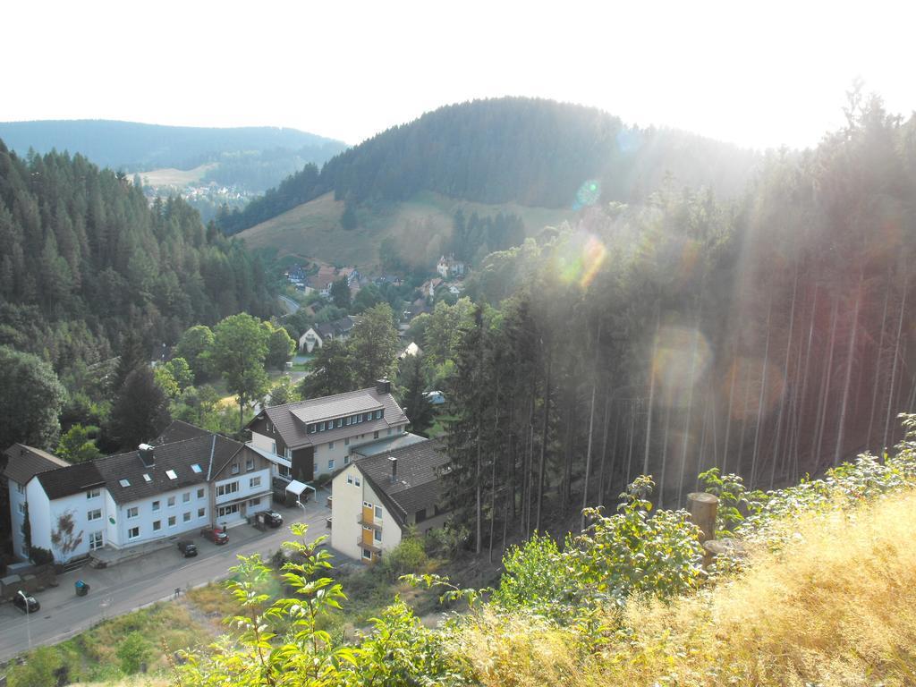 Ferienwohnung Sonnenhuegel Wildemann Exteriör bild