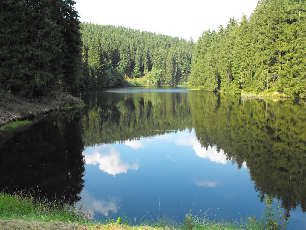 Ferienwohnung Sonnenhuegel Wildemann Exteriör bild