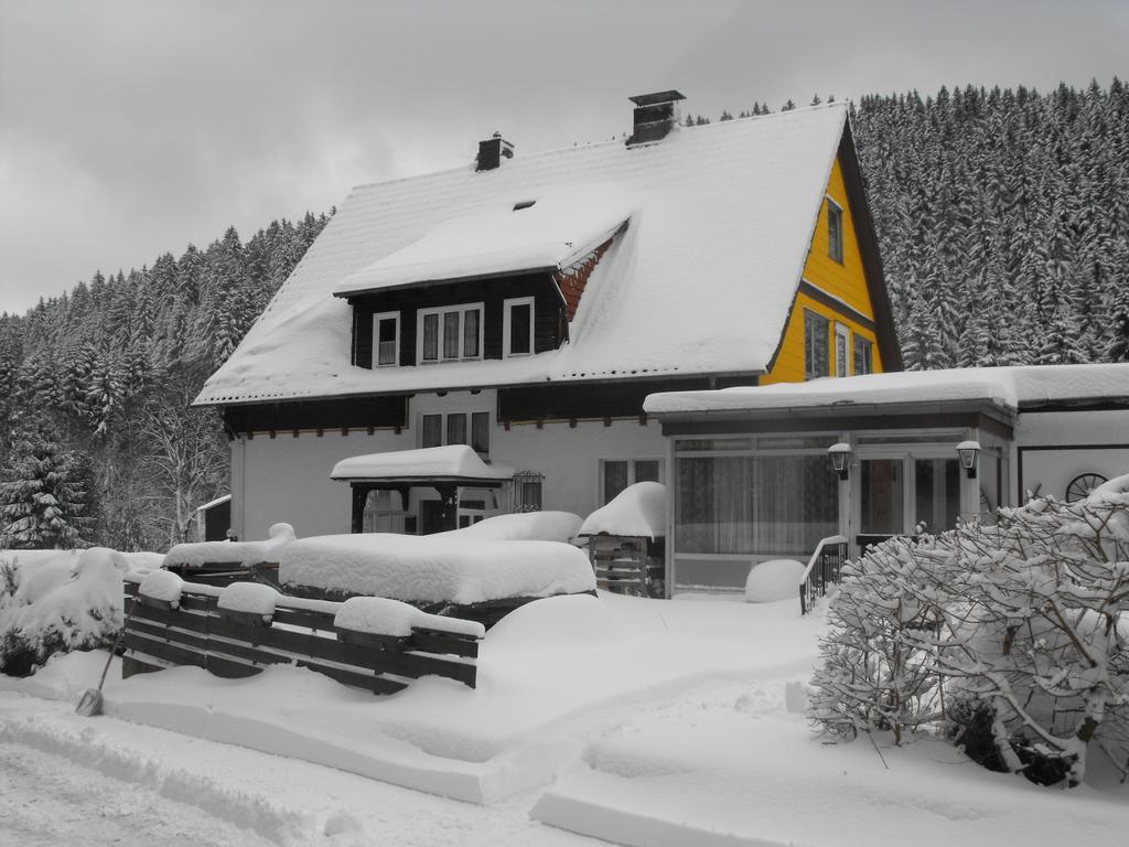 Ferienwohnung Sonnenhuegel Wildemann Exteriör bild