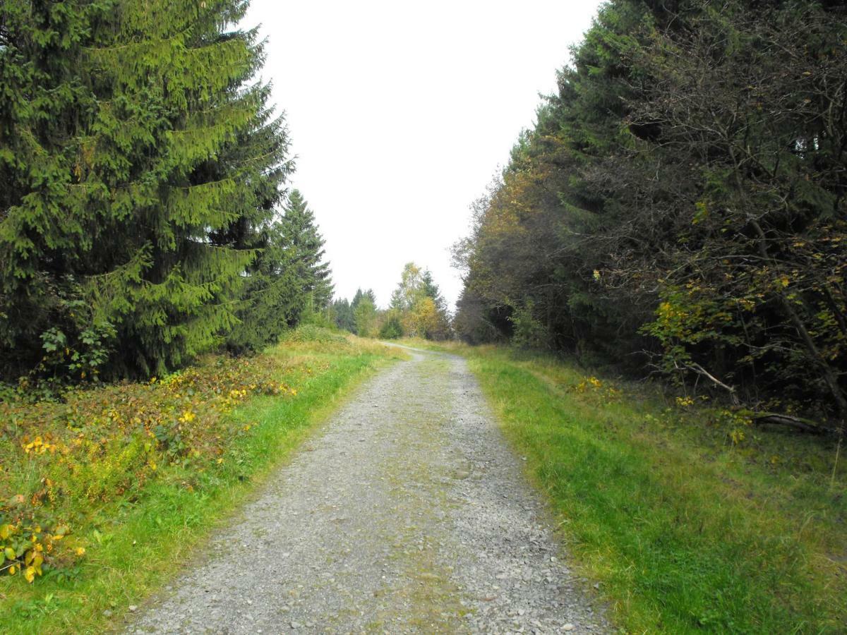 Ferienwohnung Sonnenhuegel Wildemann Exteriör bild