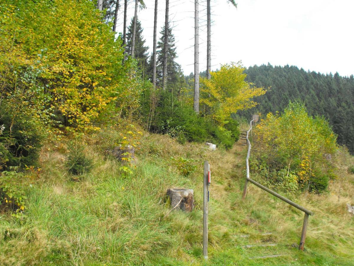 Ferienwohnung Sonnenhuegel Wildemann Exteriör bild